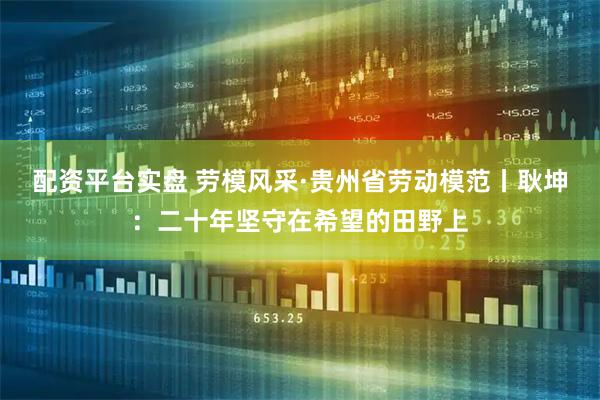配资平台实盘 劳模风采·贵州省劳动模范丨耿坤：二十年坚守在希望的田野上