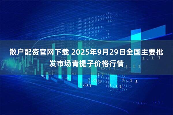 散户配资官网下载 2025年9月29日全国主要批发市场青提子价格行情